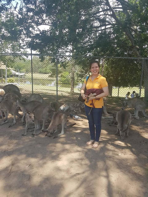 Lone Pine Koala Sanctuary Admission With Brisbane River Cruise - Hotel NSW 17