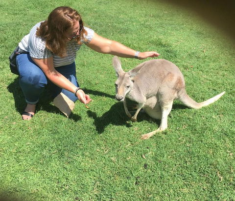 Lone Pine Koala Sanctuary Admission With Brisbane River Cruise - Hotel NSW 13