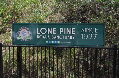 Lone Pine Koala Sanctuary Admission With Brisbane River Cruise - Hotel NSW 7