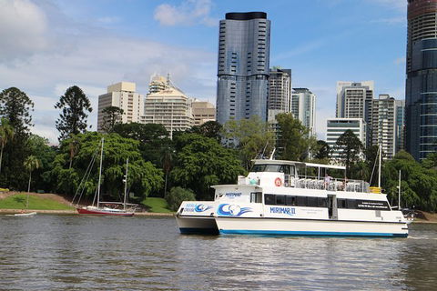Lone Pine Koala Sanctuary Admission With Brisbane River Cruise - Hotel NSW 32