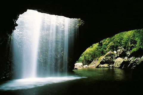 World Heritage Springbrook National Park Tour Including Natural Bridge - Hotel NSW 0
