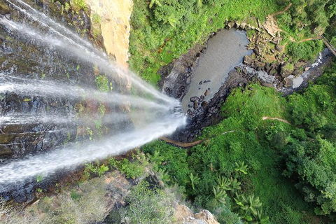 World Heritage Springbrook National Park Tour Including Natural Bridge - Hotel NSW 6