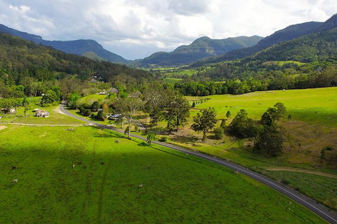World Heritage Springbrook National Park Tour Including Natural Bridge - Hotel NSW 4