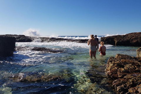 2-Day Moreton Island Tour From Brisbane Or Gold Coast With Optional Nighttime Kayaking - Hotel NSW 10