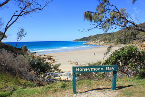 2-Day Moreton Island Tour From Brisbane Or Gold Coast With Optional Nighttime Kayaking - Hotel NSW 12