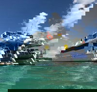 Eco Marine Safari - Boom netting  Snorkeling Moreton Island - Fortitude Valley - Hotel NSW