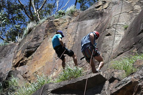 Abseiling The Kangaroo Point Cliffs In Brisbane - Hotel NSW 5
