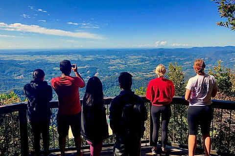 Springbrook Full Day Tour - Hotel NSW 2