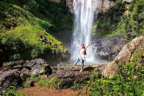 Springbrook Full Day Tour - Hotel NSW 10
