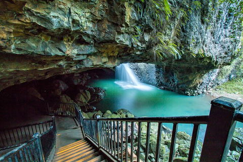 Springbrook Full Day Tour - Hotel NSW 12