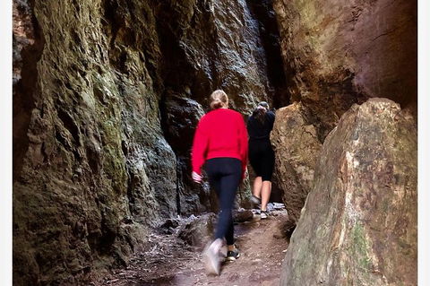Springbrook Full Day Tour - Hotel NSW 7