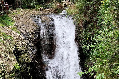 Springbrook Full Day Tour - Hotel NSW 4