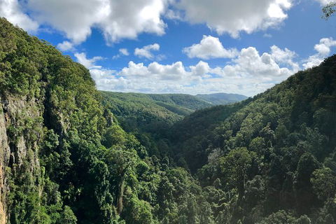 Springbrook Full Day Tour - Hotel NSW 3