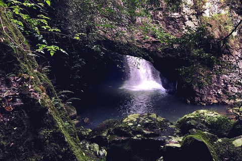 Springbrook Full Day Tour - Hotel NSW 16