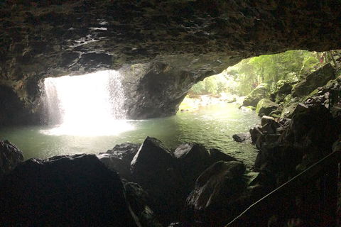 Springbrook Full Day Tour - Hotel NSW 9