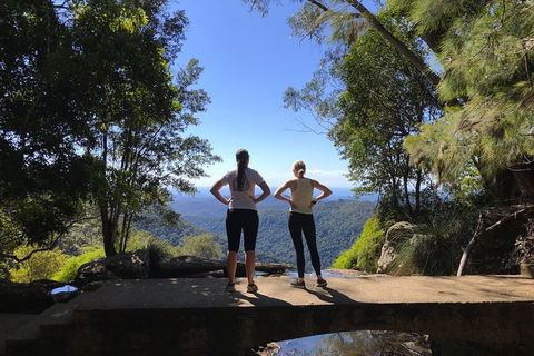 Springbrook Full Day Tour - Hotel NSW 15