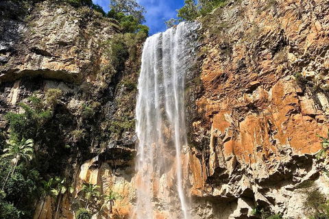 Springbrook Full Day Tour - Hotel NSW 14