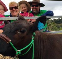 Mackay's Day in the Clouds Paddock to Plate Tour - Hotel NSW