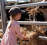 Mackay Farm Food and Flavours Tour - Hotel NSW