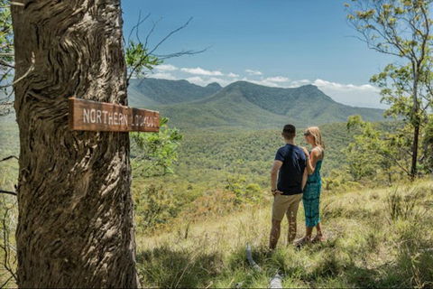 Queensland Food Tour: The Ultimate Delectable Full Day Experience - Hotel NSW 1