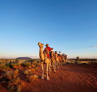 Uluru Small-Group Tour by Camel at Sunrise or Sunset - Hotel NSW