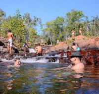Litchfield and Jumping Crocodiles Full Day Trip from Darwin - Hotel NSW