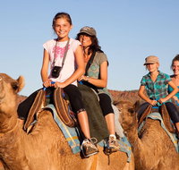 Alice Springs Camel Tour - Hotel NSW