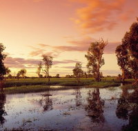 3-Day Kakadu National Park and Arnhem Land Explorer Tour from Darwin - Hotel NSW