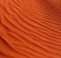 Overnight Uluru Adventure Safari - Hotel NSW