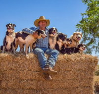 Skip-the-Line Katherine Outback Experience Show Ticket - Hotel NSW