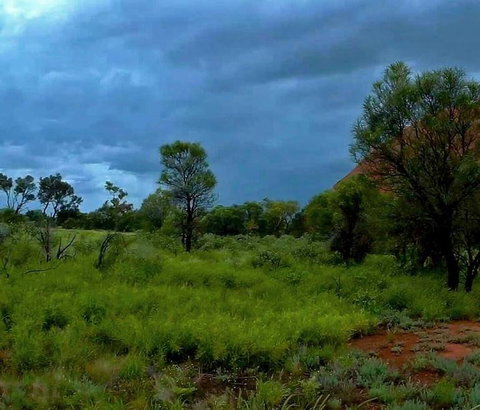 3-Day Ayers Rock To Alice Springs Camping Tour Including Kings Canyon, Kata Tjuta And Uluru - Hotel NSW 11