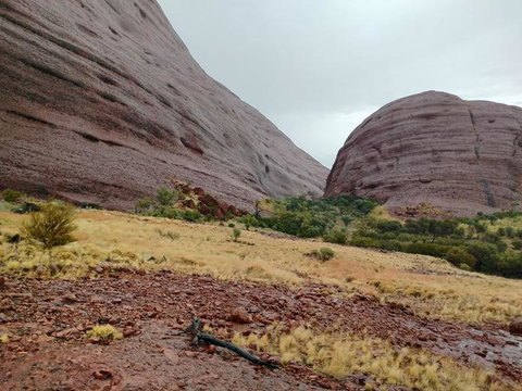 3-Day Ayers Rock To Alice Springs Camping Tour Including Kings Canyon, Kata Tjuta And Uluru - Hotel NSW 4