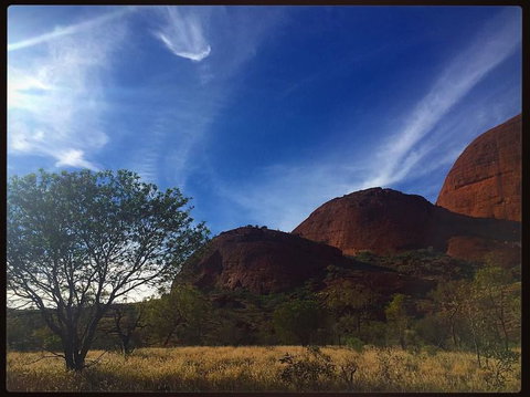 3-Day Ayers Rock To Alice Springs Camping Tour Including Kings Canyon, Kata Tjuta And Uluru - Hotel NSW 14