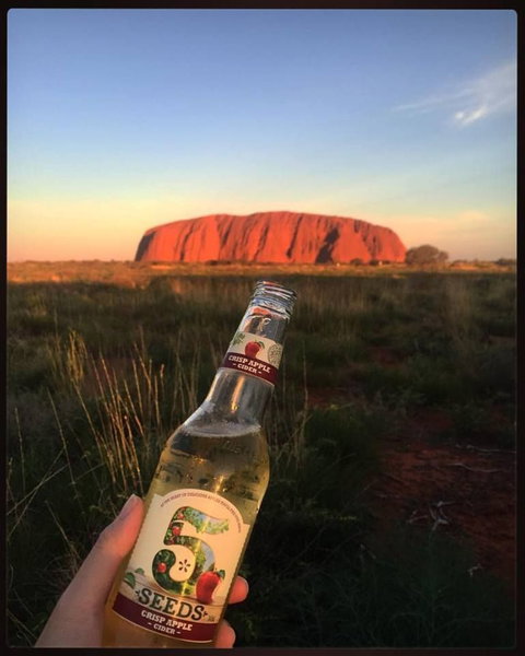 3-Day Ayers Rock To Alice Springs Camping Tour Including Kings Canyon, Kata Tjuta And Uluru - Hotel NSW 15