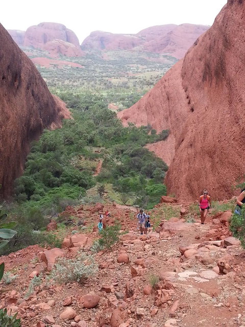 3-Day Ayers Rock To Alice Springs Camping Tour Including Kings Canyon, Kata Tjuta And Uluru - Hotel NSW 7