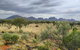 3-Day Ayers Rock To Alice Springs Camping Tour Including Kings Canyon, Kata Tjuta And Uluru - thumb 5