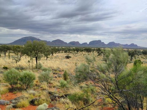 3-Day Ayers Rock To Alice Springs Camping Tour Including Kings Canyon, Kata Tjuta And Uluru - Hotel NSW 5