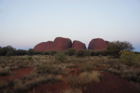 Kata Tjuta Sunset Half Day Trip - Hotel NSW 4