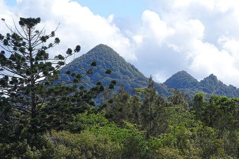 Brunswick Heads Rainforest Eco-Cruise - Hotel NSW 3