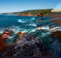 Boyds Tower to Saltwater Creek Walking Track - Hotel NSW