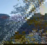 Canyon Picnic Area - Hotel NSW