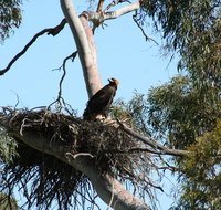 Castle Creek Reserve - Hotel NSW