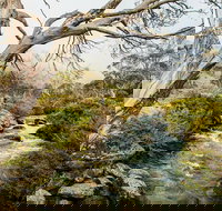 Dead Horse Gap walking track - Hotel NSW