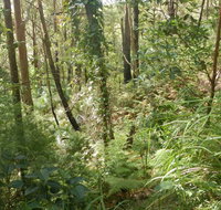 Gap Beach Walking Track - Hotel NSW