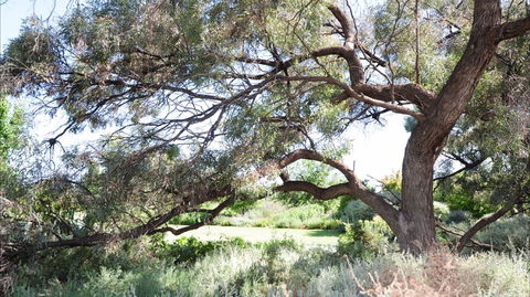 Gathercole Nature Reserve - Hotel NSW 0