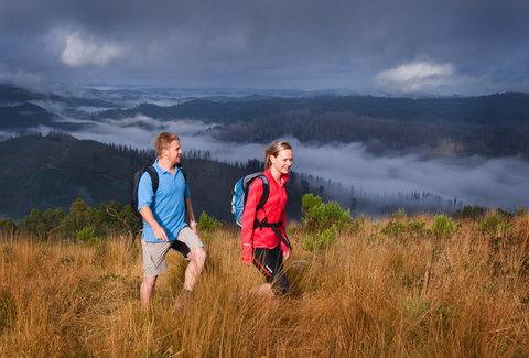 Grand Strzelecki Track - Hotel NSW 1