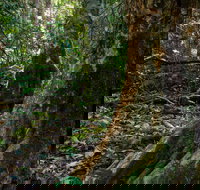 Hidden Treasure Track - Hotel NSW