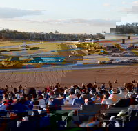 Ipswich Motorsport Precinct - Hotel NSW
