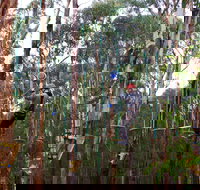 Kinglake Forest Adventures - Hotel NSW