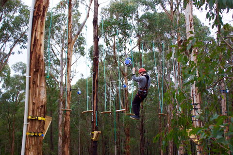 Kinglake Forest Adventures - Hotel NSW 0